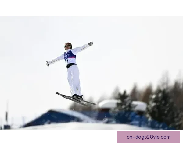 中国队滑雪混团赛第二晋级